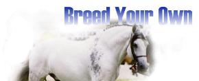 Breed your own Andalusian!!!!!